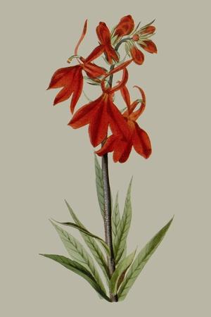 Premium Giclee Print, , small