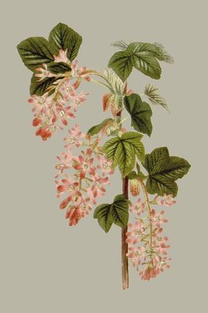 Premium Giclee Print, , small