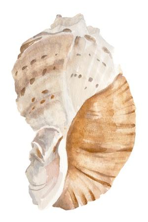 Premium Giclee Print, , small