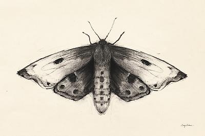 Premium Giclee Print, , small