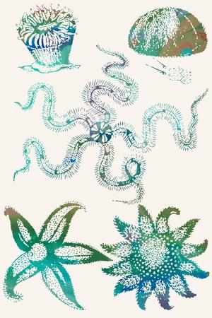 Premium Giclee Print, , small