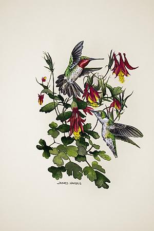 Premium Giclee Print, , small