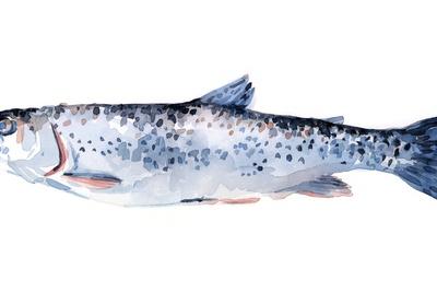 Premium Giclee Print, , small