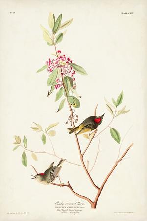 Premium Giclee Print, , small