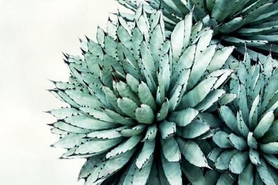 Premium Giclee Print, , small
