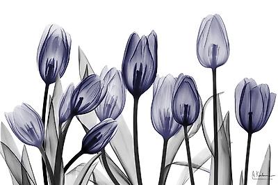 Premium Giclee Print, , small