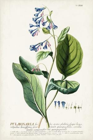 Premium Giclee Print, , small
