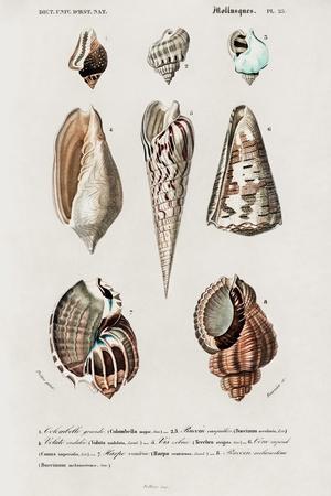 Premium Giclee Print, , small