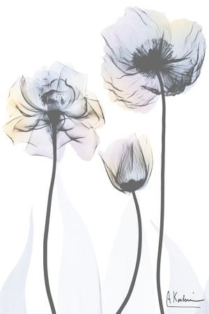 Premium Giclee Print, , small