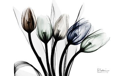 Premium Giclee Print, , small