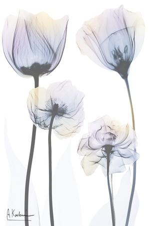Premium Giclee Print, , small