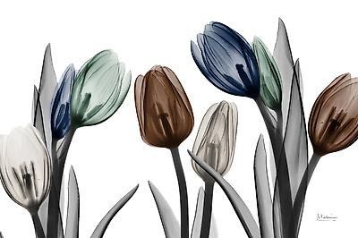 Premium Giclee Print, , small