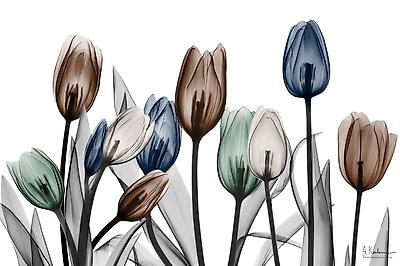 Premium Giclee Print, , small