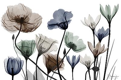 Premium Giclee Print, , small