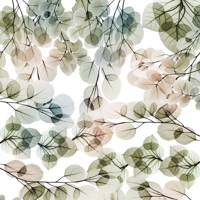 Premium Giclee Print, , small