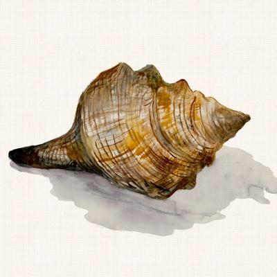 Premium Giclee Print, , small