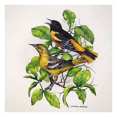 Premium Giclee Print, , small