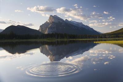 Premium Photographic Print, , small