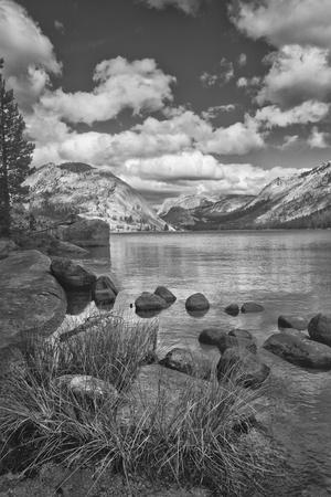 Premium Photographic Print, , small