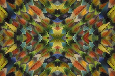 Premium Photographic Print, , small