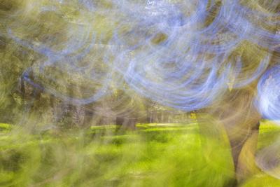 Premium Photographic Print, , small
