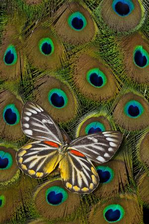 Premium Photographic Print, , small