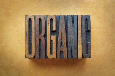 Premium Photographic Print, , small