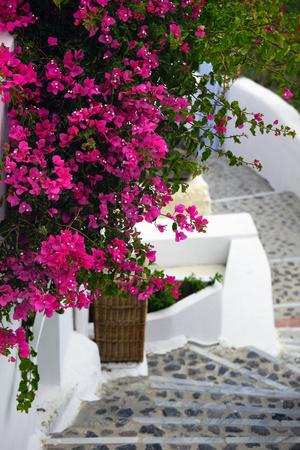 Premium Photographic Print, , small
