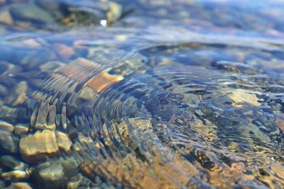 Premium Photographic Print, , small