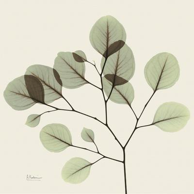 Premium Photographic Print, , small