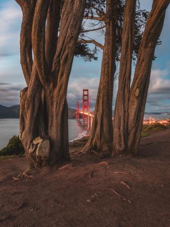 Premium Photographic Print, , small