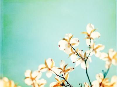 Premium Photographic Print, , small