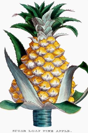 Premium Giclee Print, , small