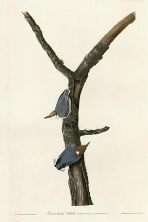 Premium Giclee Print, , small