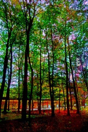 Premium Giclee Print, , small