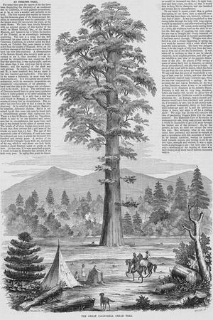 Premium Giclee Print, , small