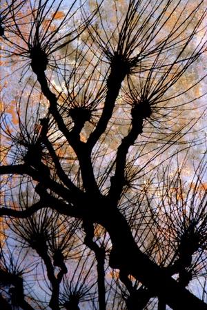 Premium Giclee Print, , small
