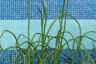 Premium Giclee Print, , small