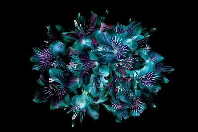 Premium Giclee Print, , small