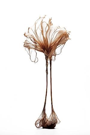 Premium Giclee Print, , small