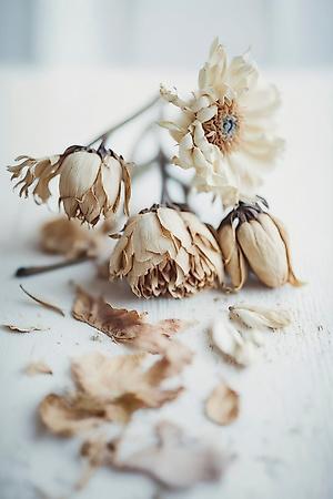 Premium Giclee Print, , small