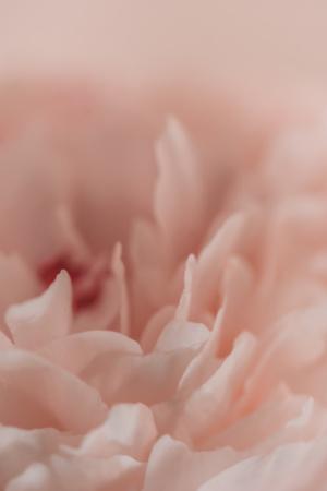 Premium Giclee Print, , small