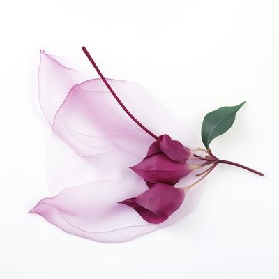 Premium Giclee Print, , small
