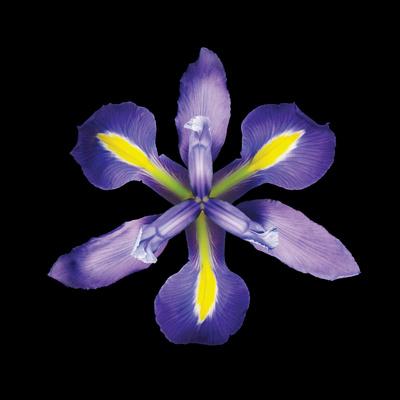 Premium Giclee Print, , small