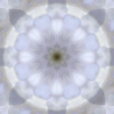 Premium Photographic Print, , small