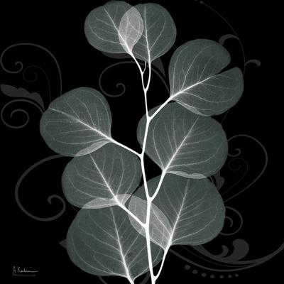 Premium Photographic Print, , small