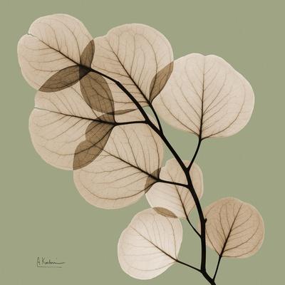 Premium Photographic Print, , small