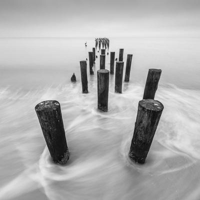 Premium Photographic Print, , small
