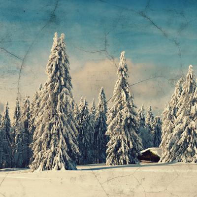 Premium Photographic Print, , small