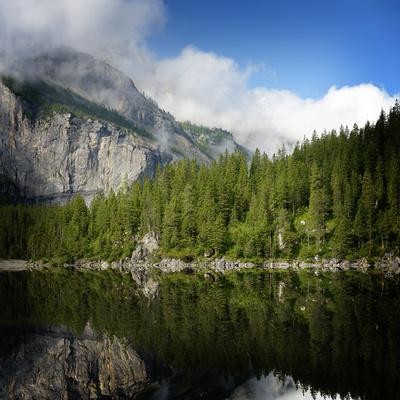 Premium Photographic Print, , small